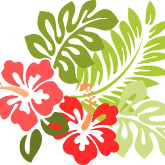 Le massage Hawaïen "Lomi-Lomi" (1h10)